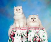 CAT 01 RK0295 02
Persian Shaded Silver Cats On Pedestal Studio