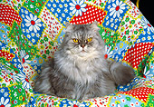 CAT 01 RK0455 16
Persian Black Smoke On Flower Quilt
