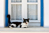 CAT 01 KH0032 01
Black And White Greek Island Cat Laying On Windowsill