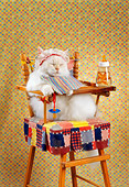 CAT 01 RC0026 01
Cat Sitting In Highchair Wearning Bib And Bonnet With Bottle Studio