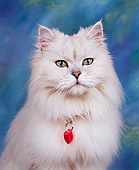 CAT 01 RK0079 01
Head Shot Of Persian Shaded Silver Studio