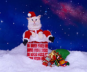 CAT 01 RK0173 04
