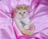CAT 01 RK0174 06
