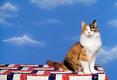CAT 01 RK0329 02
Long-haired Calico Cat Sitting On Quilt Blue Sky Studio