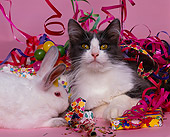 CAT 01 RK0401 06
Gray And White Cat And Bunny Laying By Birthday Cake And Decorations Studio
