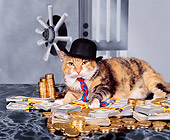 CAT 02 RK0350 10
Fat Cat