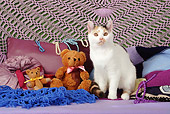 CAT 02 SJ0010 01
Calico Cat Sitting By Pillows And Teddy Bears
