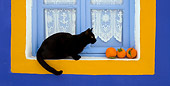 CAT 02 KH0166 01
Black Greek Island Cat Sitting On Sill Of Blue And Orange Window