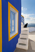 CAT 02 KH0168 01
Black Greek Island Cat Sitting On White Stairs By Blue And Orange Window