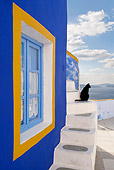 CAT 02 KH0272 01
Black Greek Island Cat Sitting On Stairs By Blue And Orange Window