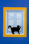 CAT 02 KH0276 01
Black Greek Island Cat Standing By Blue And Orange Window