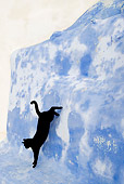 CAT 02 KH0283 01
Black Greek Island Cat Jumping Down Off Blue Wall
