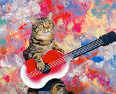 CAT 02 RK0262 02
Brown Tabby Cat Playing Guitar Studio
