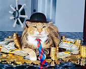CAT 02 RK0351 05
Fat Cat
