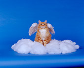 CAT 02 RK0357 20
