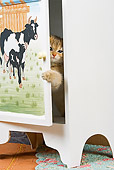 CAT 03 JE0133 01
British Shorthair Orange Tabby Peeking Head Out Of Cabinet With Cows Painted On