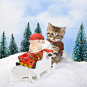 CAT 03 KH0364 01
Tabby Kitten Pushing Sleigh With Santa And Gifts