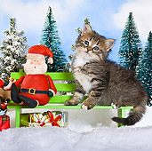 CAT 03 KH0366 01
Tabby Kitten Sitting On Bench Next To Santa And Gifts