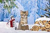 CAT 03 KH0367 01
Tabby Kitten Leaning On Stump By Snowman And Firewood