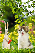 CAT 03 KH0440 01
White And Tabby Kitten Sitting On Lawn Next To Stuffed Bunny