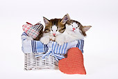 CAT 03 KH0450 01
Two White And Tabby Kittens Sleeping In Basket On White Seamless