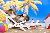 CAT 03 KH0455 01
Tabby Kitten Sleeping On Deckchair On Tropical Beach