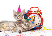 CAT 03 RK0187 01
Two Gray Tabby Kittens Laying By Alarm Clock On White Seamless Studio