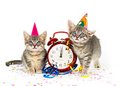 CAT 03 RK0188 06
Gray Tabby Kittens Sitting By Clock On White Seamless Studio