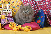 CAT 03 SJ0020 01
Persian Kitten Sitting On Pink Pillow By Ceramic Decorations