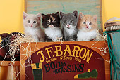 CAT 03 SJ0083 01
Four Kittens Sitting In Wooden Shoe Box