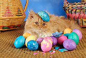 CAT 03 RC0036 01
Red Longhair Kitten Laying With Easter Eggs By Baskets Studio