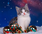 CAT 03 RK0295 02
Gray And White Kitten Sitting On Snow By Christmas Decorations Studio