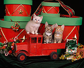 CAT 03 RK0889 07
Three Kittens Sitting On Red Truck By Christmas Decorations And Drums