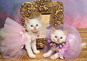 CAT 03 RK1027 11
White Kittens Wearing Tutus Sitting By Mirror