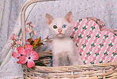 CAT 03 RK1504 02
White Kitten Sititng In Basket By Flowers And Heart