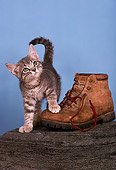 CAT 03 RK1752 14
Gray And White Kitten By Hiking Boot On Log Blue Background