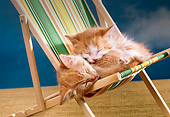 CAT 03 RK1860 10
Two Orange Kittens Sleeping On Beach Chair