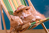 CAT 03 RK1861 02
Two Orange Kittens Wearing Hat Sleeping On Beach Chair