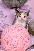 CAT 03 RK2207 05
Calico Kitten Peeking Over Big Pink Ball Of Yarn