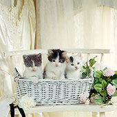 CAT 03 RS0053 01
Three Kittens Sitting In Basket By Wedding Dress
