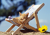 CAT 03 SS0002 01
Orange Tabby Kitten Sleeping On Beach Chair