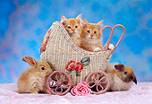 CAT 06 RC0002 01
Two Red Tabby Kittens Sitting In Wicker Stroller With Two Brown Rabbits Flower