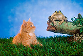 CAT 09 RC0011 01
Red Tabby Cat Sitting In Grass By Frog Sitting On Log Studio