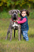 CHD 06 KH0001 01
Little Girl Standing With Cane Corso Dog In Field
