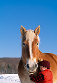 CHD 08 LS0001 01
Boy Standing By Belgian Horse Snow Blue Sky Vermont