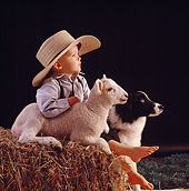 CHD 09 RS0003 04
Boy Lamb And Border Collie Dog On Hay In Barn
