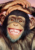 CHI 02 RK0007 01
Close Up Head Shot Of Eddie Facing Camera Sunset Background