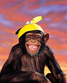 CHI 02 RK0010 03
Close Up Head Shot Of Eddie Wearing Yellow Whirley Hat Facing Camera Sunset Background