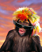 CHI 02 RK0011 03
Close Up Humorous Head Shot Wearing Colorful Wig And Glasses Sunset Background