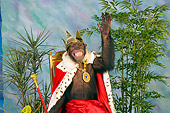 CHI 03 RK0176 02
King Kong